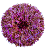 Rose Almond Juju Hat