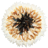 Cappuccino Juju Hat